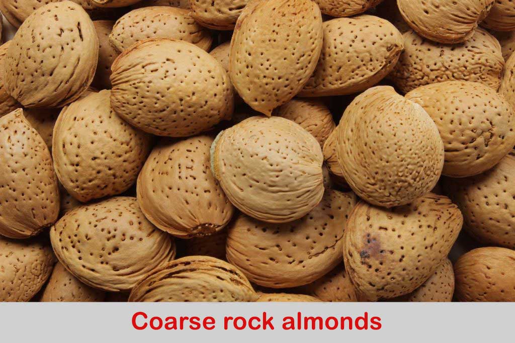 Coarse rock almonds