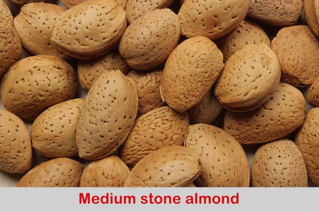 Medium stone almond
