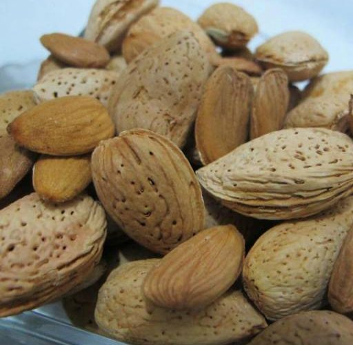 تولید انواع بادام مرغوب عمده در ایران