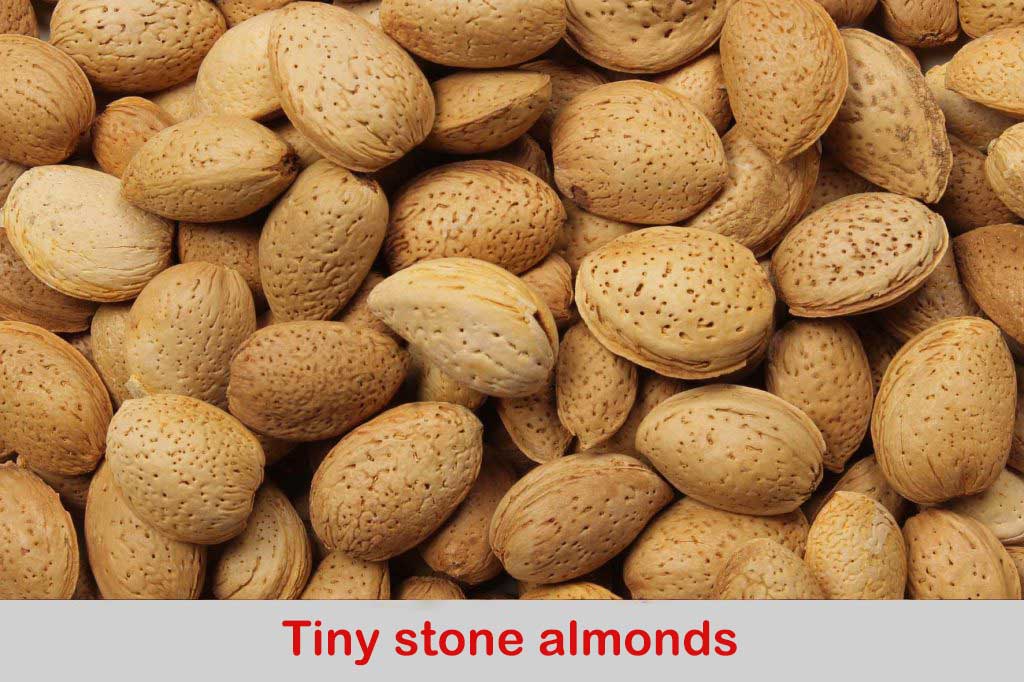 Tiny stone almonds