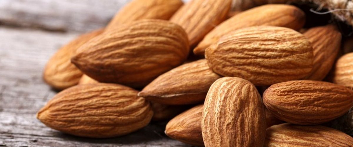 صادرات بادام شیرین درختی ایرانی