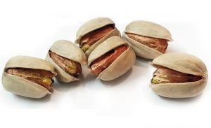 عرضه پسته کله قوچی نمکی و خام