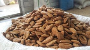 بهترین مغز بادام فله ایرانی