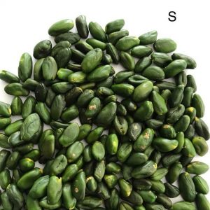 مرکز تولید انواع مغز پسته شادیز
