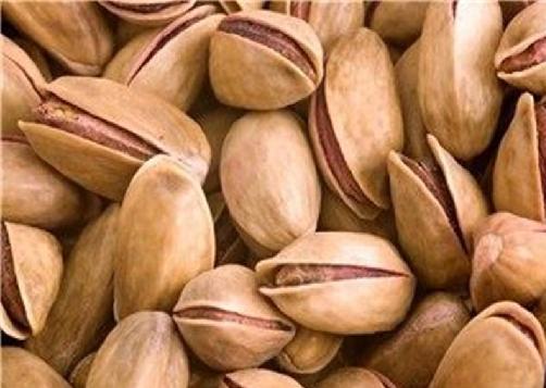 قیمت فروش پسته اکبری آبخندان