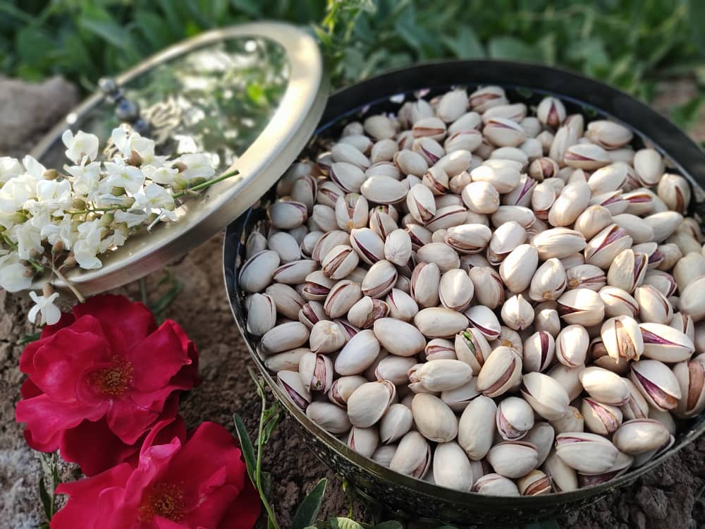 فروش پسته احمد آقایی در حیدرآباد هند