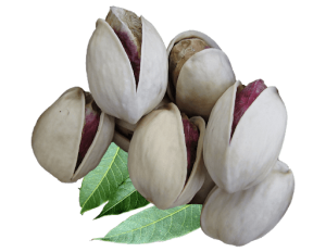 صادرات پسته خندان و آبخندان به روسیه و اوکراین