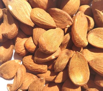 فروشنده بادام مرغوب | خرید مستقیم بادام مامایی از شهرکرد