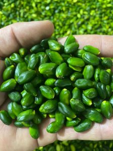عرضه آنلاین مغز پسته