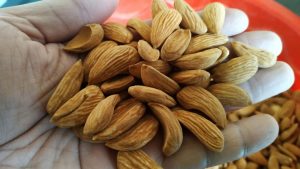 شرکت شادیز صادرکننده بادام مامایی ایرانی