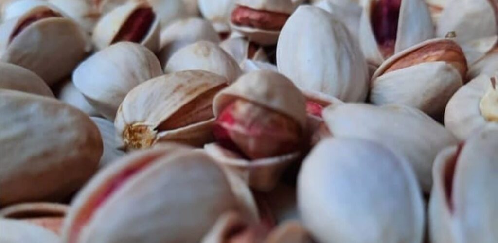 قیمت پسته رفسنجان ۱۴۰۰ به صورت عمده | پسته صادراتی