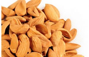 قیمت روز بادام مامایی شادیز