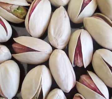 قیمت پسته احمد آقایی خندان و آب خندان