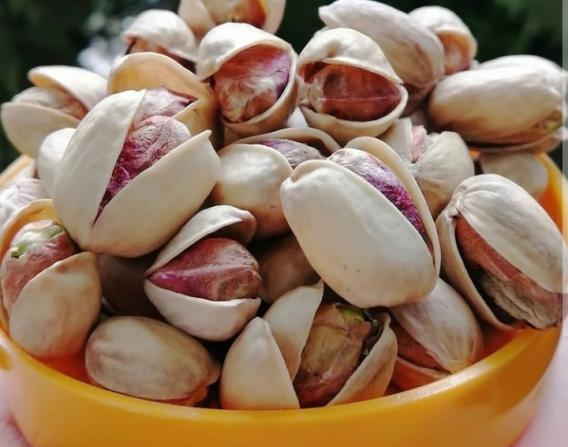 پسته و مغز پسته فندقی و بادامی ایرانی