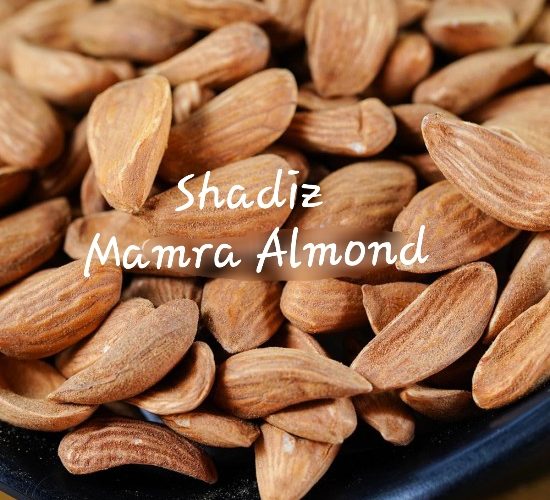 فروش ویژه بادام مامایی صادراتی ایران