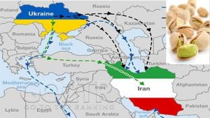 پسته مناسب برای صادرات به اوکراین