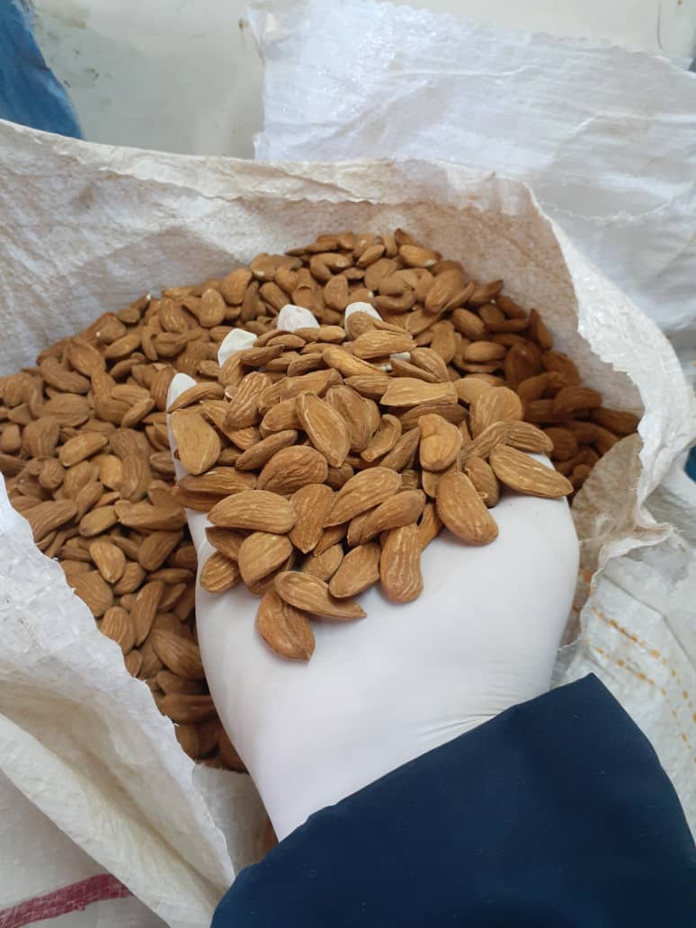 مغز بادام مامایی و قیمت فروش صادراتی آن