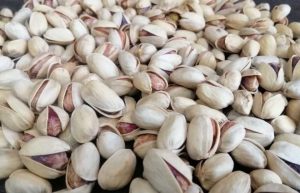 مرکز تولید بهترین پسته کله قوچی ایران