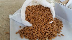 کارخانه تولیدی مغز بادام صادراتی