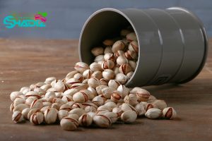 بزرگترین شرکت صادر کننده پسته ایران
