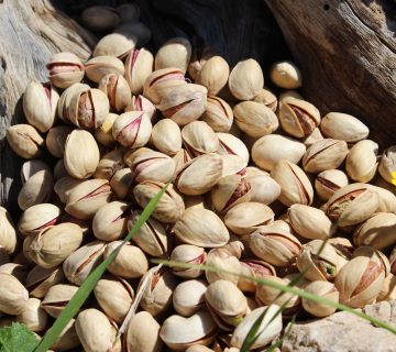 خرید پسته فندقی ایران در روسیه