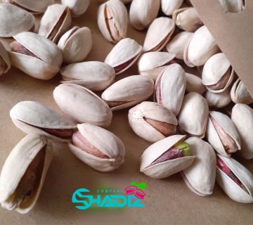 بزرگترین عرضه کننده پسته اکبری در ایران