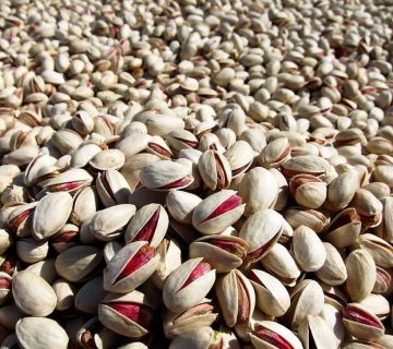 صادرکننده پسته ایران به ترکیه_ شرکت تجارت پویا(شادیز)