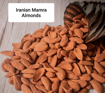 فروشنده بادام مامایی در امارات_ شرکت آجیل و خشکبار شادیز
