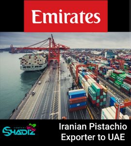 صادرکننده پسته ایران به امارات_ شرکت شادیز