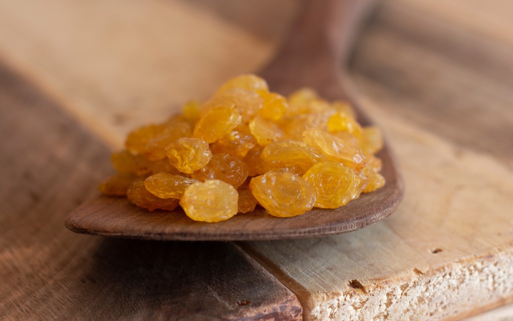 کشمش طلایی | خرید کشمش ایرانی | فواید کشمش_ شرکت تجارت پویا(شادیز)