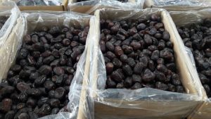 آشنایی با میوه خرمای مضافتی:_ شرکت تجارت پویا( شادیز)