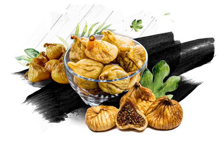 فروش عمده انجیر خشک _ آجیل و خشکبار شادیز