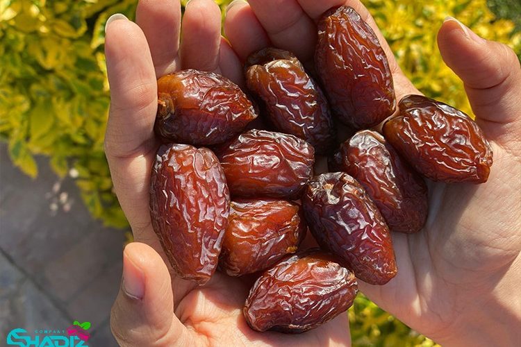 کارخانه خرمای شادیز _ تولید کننده خرمای ایرانی
