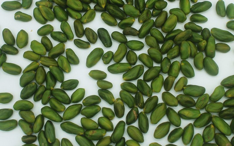 مغز پسته سبز ایرانی (GPPK)+ قیمت عمده_ شرکت تجارت پویا(شادیز)
