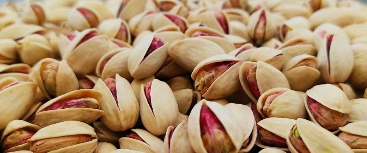 صادرات عمده پسته | قیمت عمده پسته_ کارخانه پسته و خشکبار شادیز