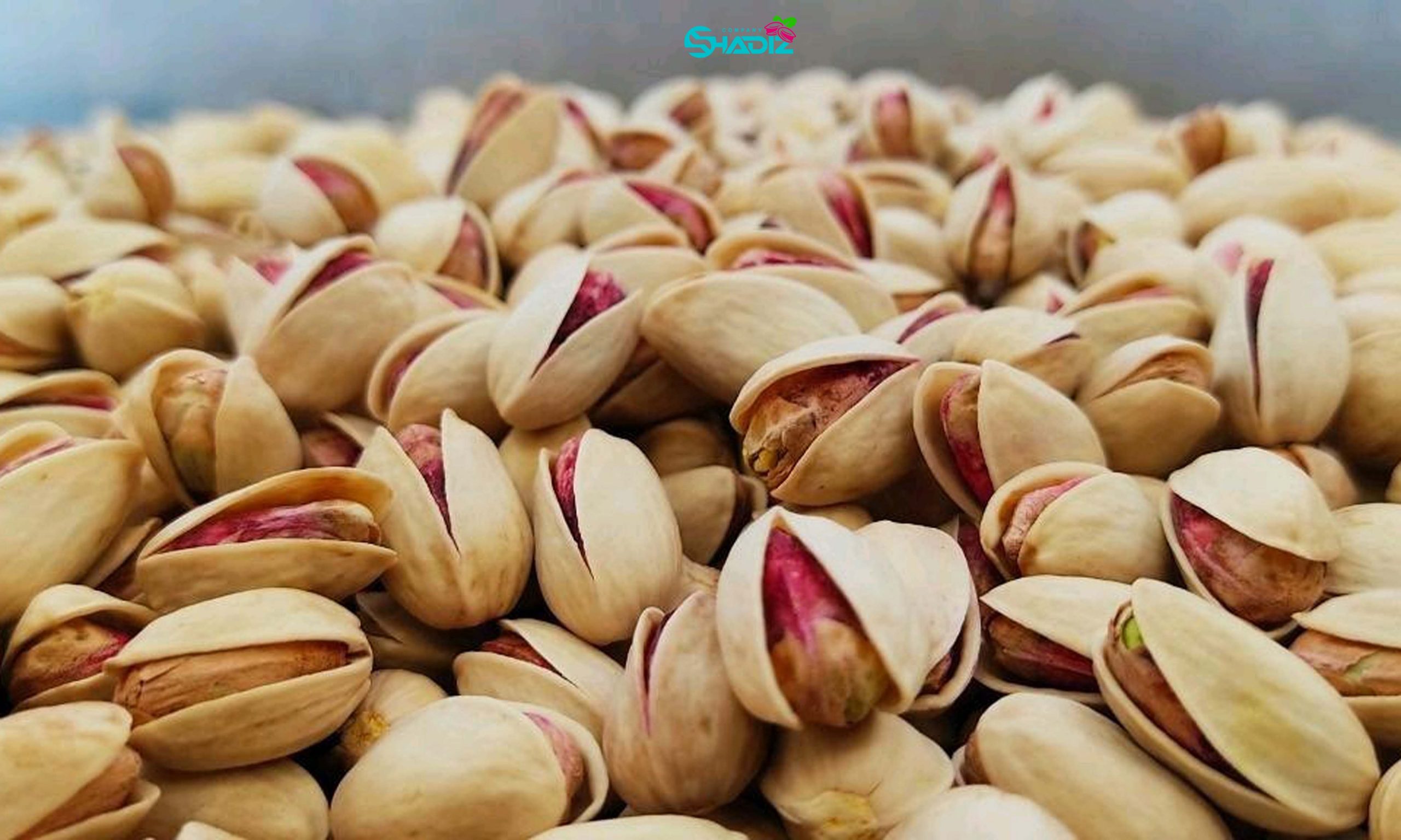 صادرات عمده پسته | قیمت عمده پسته_ کارخانه پسته و خشکبار شادیز