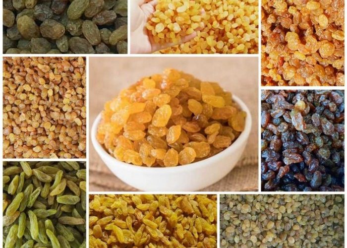 خرید کشمش ایرانی، طلایی و سلطانا_ بازرگانی خشکبار و کشمش شادیز