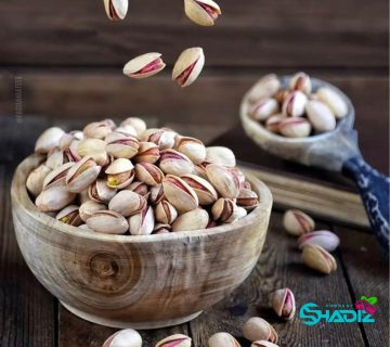 پسته مکانیک خندان - تولیدکننده و صادرکننده_ شرکت شادیز