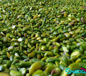 تولید کننده انواع مغز پسته ایرانی