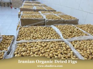 خرید انجیر خشک شادیز - انجیر خشک شادیز - تولید، فرآوری و بسته بندی انجیر خشک ایرانی