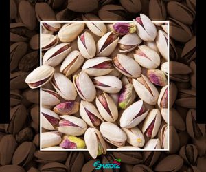 بهترین تامین کنندگان پسته در ایران_ شرکت پسته و خشکبار شادیز _ بهترین پسته صادراتی در ایران برای فروش عمده_ شرکت پسته و خشکبار شادیز