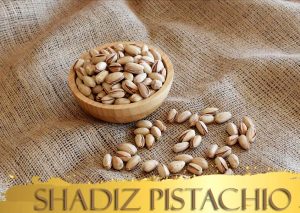 بزرگترین صادر کننده و تامین کننده پسته در کرمان-رفسنجان - لیست قیمت پسته رفسنجان - خرید پسته با بهترین قیمت_ شرکت پسته و خشکبار شادیز