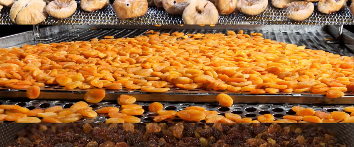 شادیز، صادرکننده کشمش، انجیر و زردآلو خشک