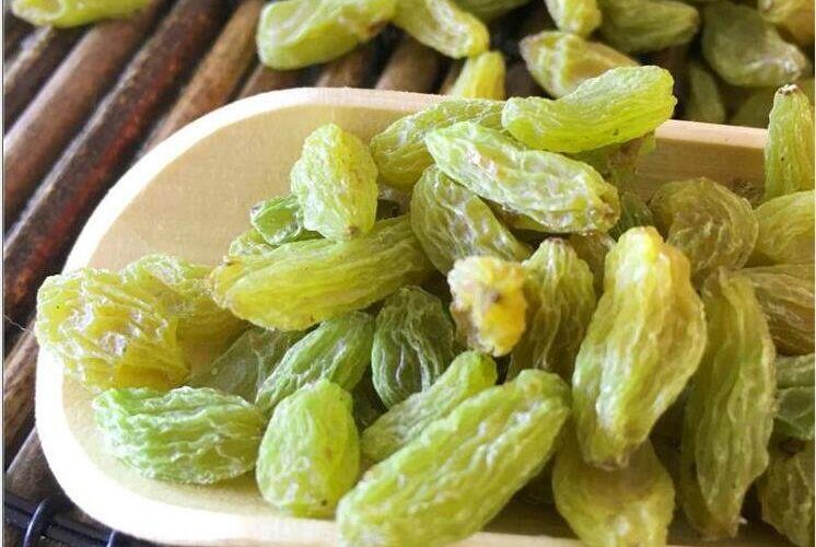 کشمش سبز کاشمر - عرضه کننده و تولید کننده کشمش ایرانی - شرکت شادیز