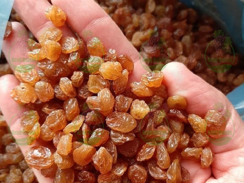 کشمش ایرانی ملایر _ فروش عمده کشمش _ خرید عمده - شرکت شادیز