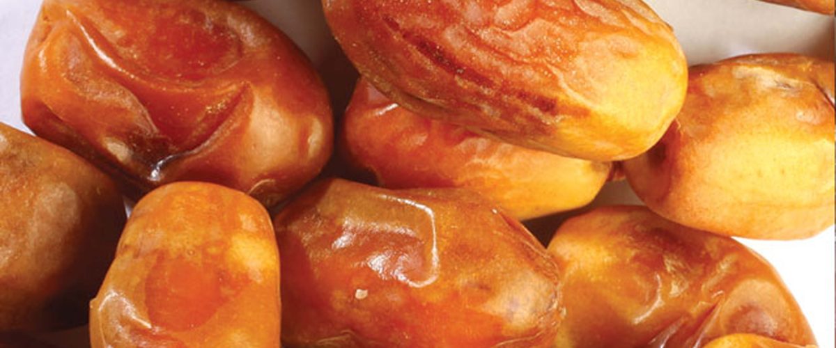 خرمای ارگانیک زاهدی _ محصولات خرمای شادیز