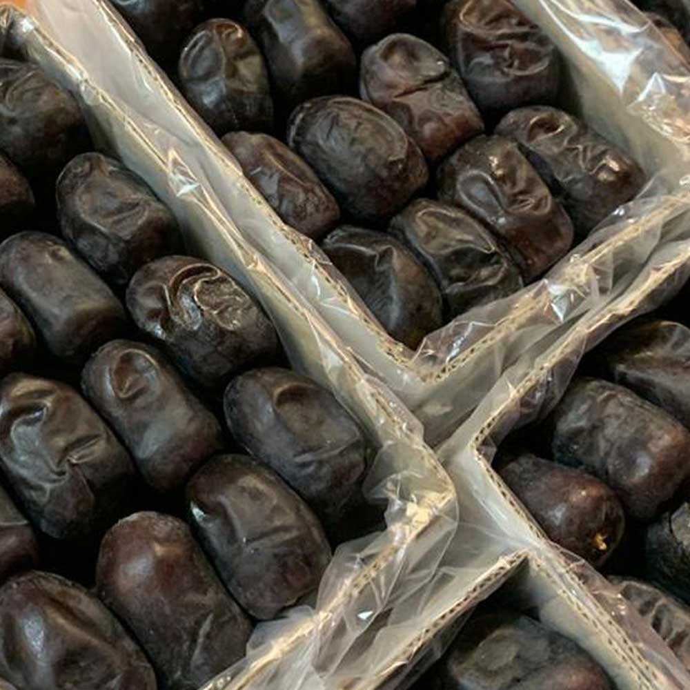 عمده فروشی و بسته بندی خرما مضافتی | خرمای شادیز