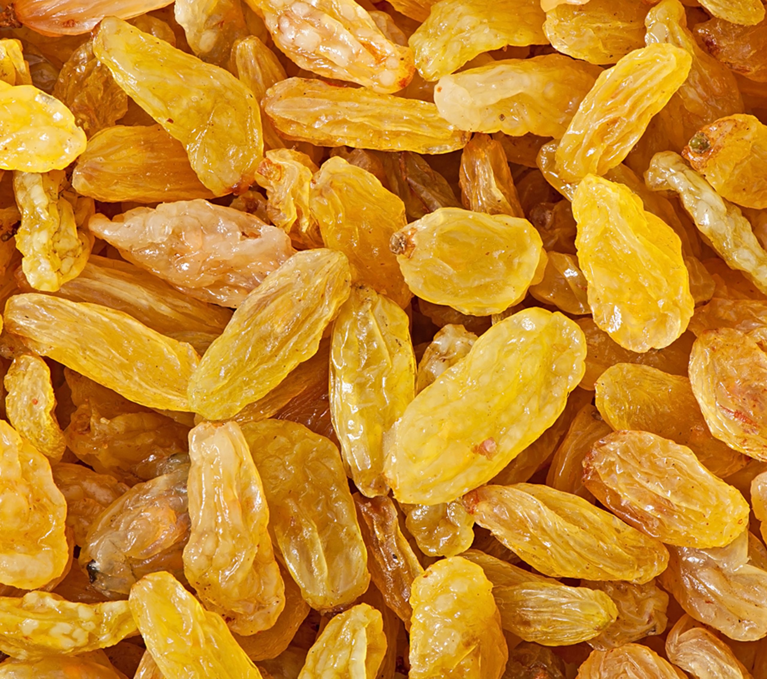 فروش عمده کشمش قلمی طلایی+قیمت - خشکبار شادیز