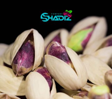 پسته خام ارگانیک ایران + بهترین قیمت خرید - شرکت تولیدی و بازرگانی پسته شادیز